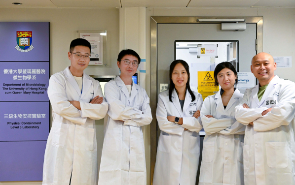 A research team, led by Professor Chu Hin (right) and Dr Vivian Shuai Huiping (middle), has discovered a powerful bispecific inhibitor capable of combating a wide range of existing human-pathogenic coronaviruses. This promising inhibitor, named TMP1, offers hope for more effective and resilient treatments against future outbreaks.
 